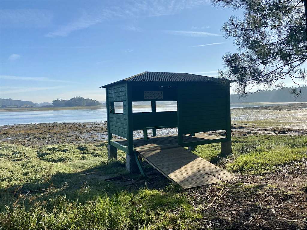 Observatorio de Aves de Castrelo 2 en Cambados