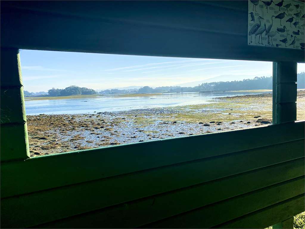 Observatorio de Aves de Castrelo 2 en Cambados
