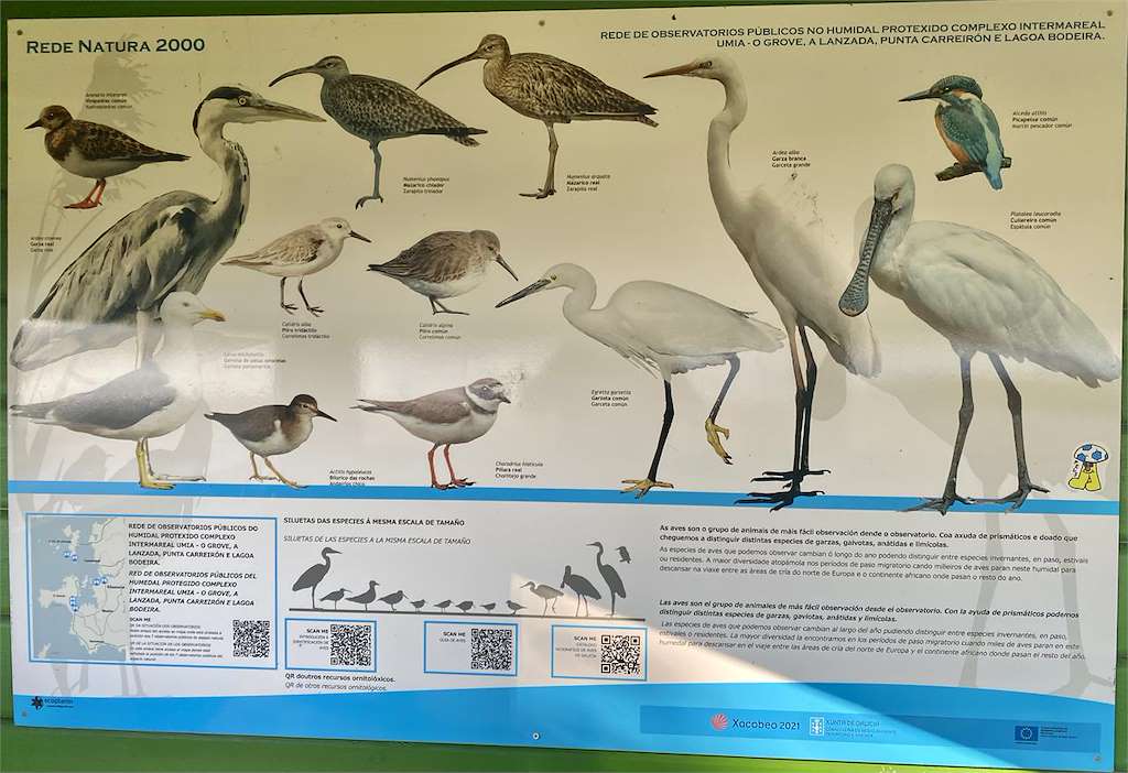 Observatorio de Aves de Castrelo 2 en Cambados