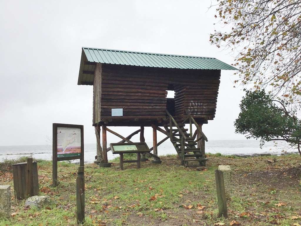 Observatorio de Aves Estuario del Miño 2 en A Guarda