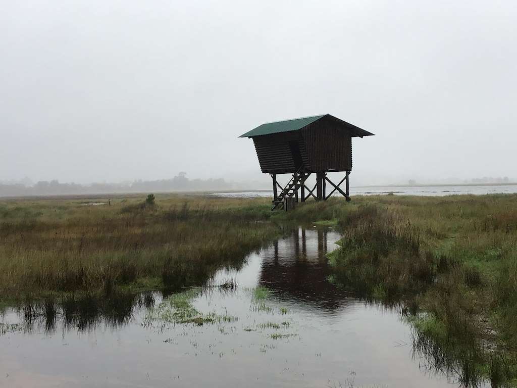 Observatorio de Aves Estuario del Miño 2 en A Guarda