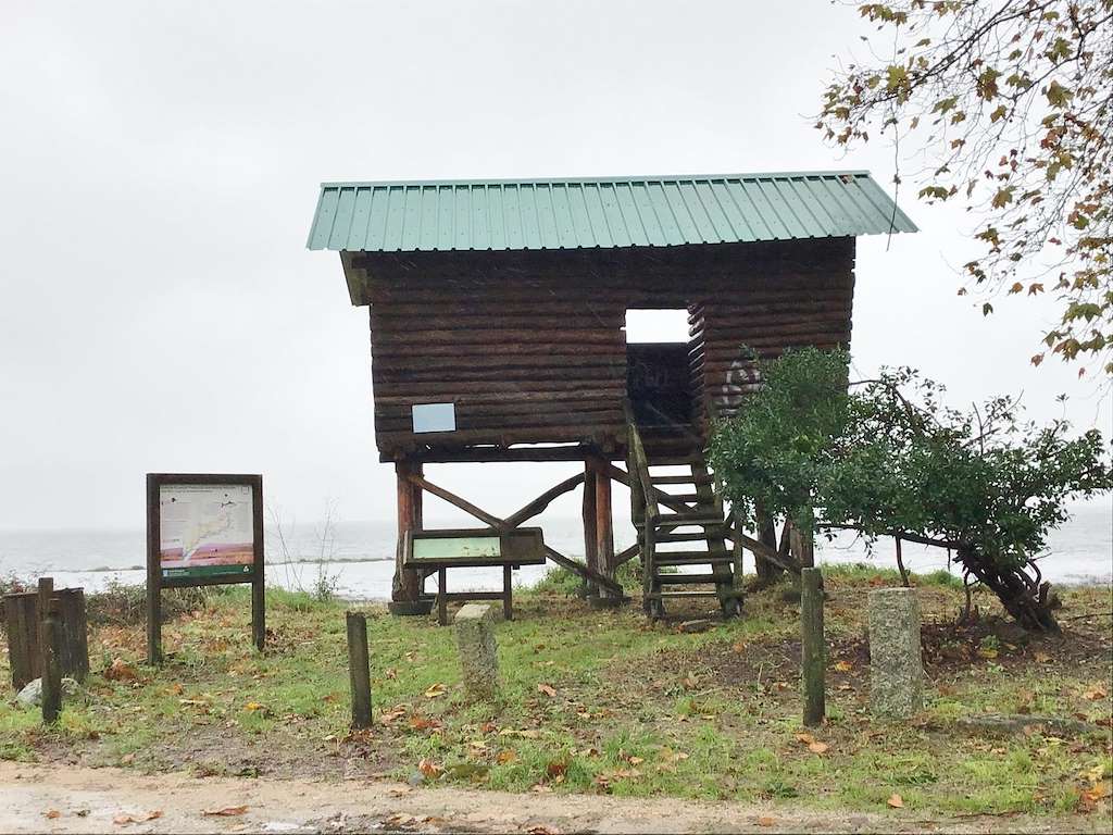 Observatorio de Aves Estuario del Miño en A Guarda