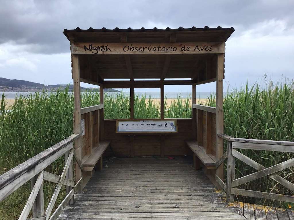 Observatorio de Aves Playa América en Nigrán