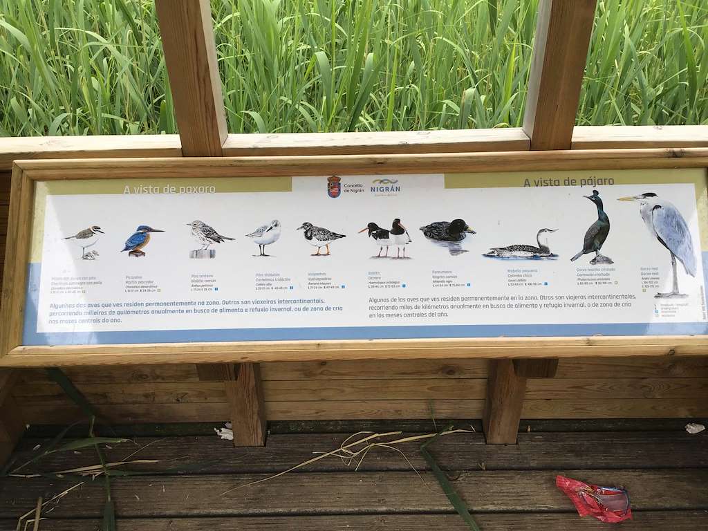 Observatorio de Aves Playa América en Nigrán
