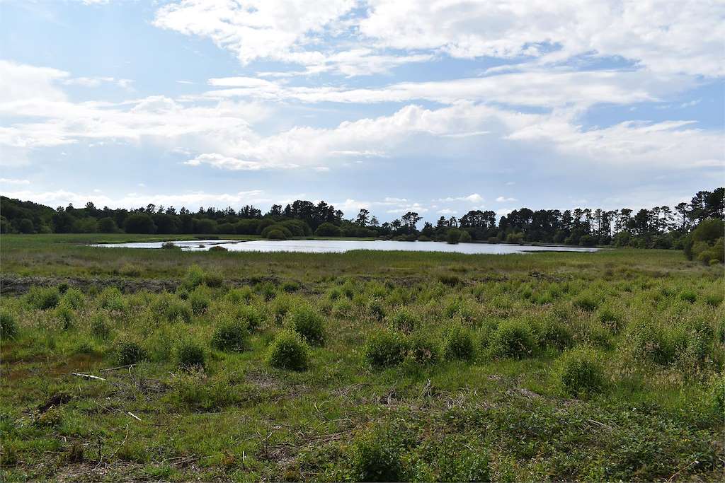 Observatorio Ornitológico Lago Caque en Castro de Rei