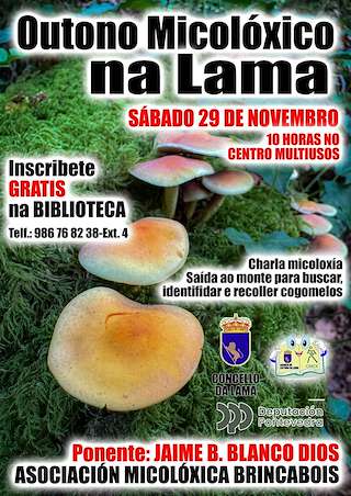 Fechas, información, programa, cartel, imágenes, mapa y ubicación de Outono Micolóxico (2025)  en  A Lama
