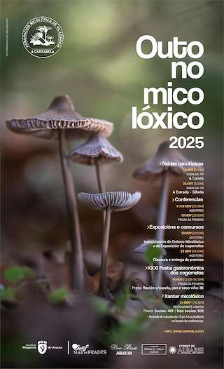 Fechas, información, programa, cartel, imágenes, mapa y ubicación de Outono Micolóxico (2025)  en  Vilagarcía de Arousa