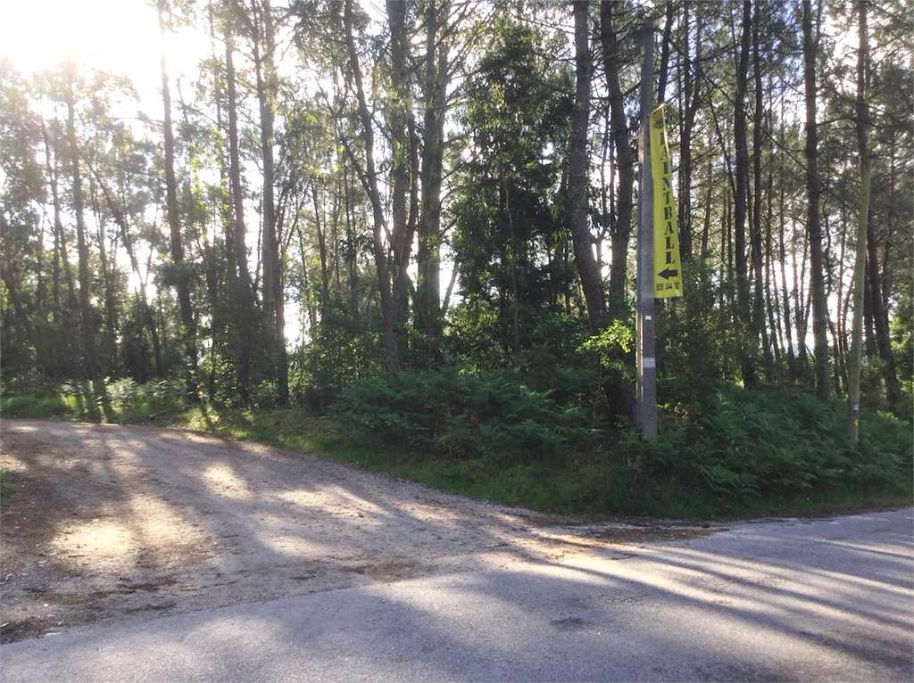 Paintball Radiación en Vigo