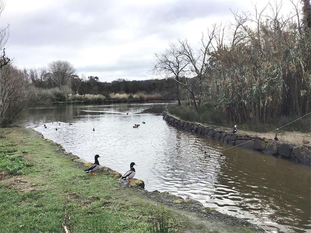 Parque da Lagoa en Oleiros