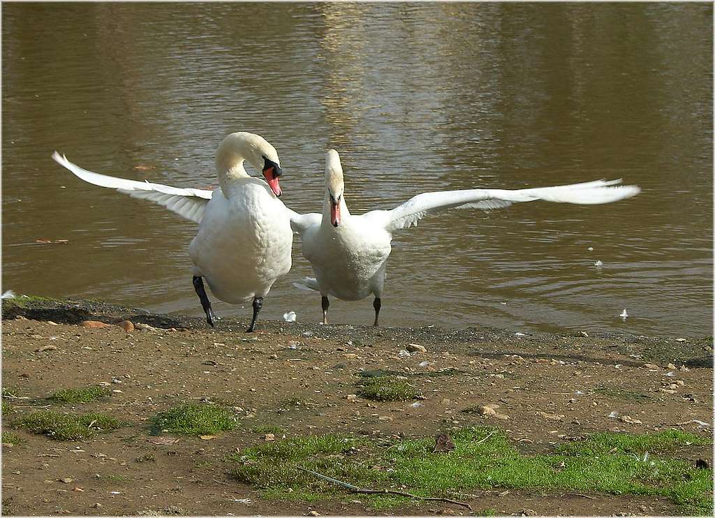Parque da Lagoa en Oleiros