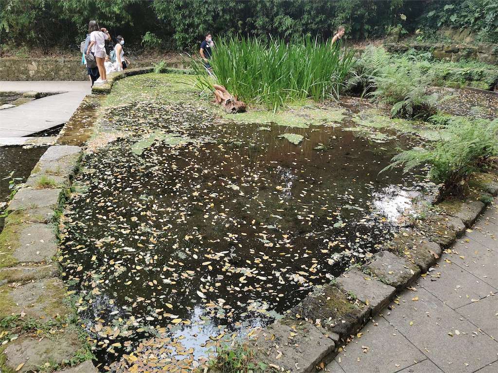 Parque de los Sentidos en Marín