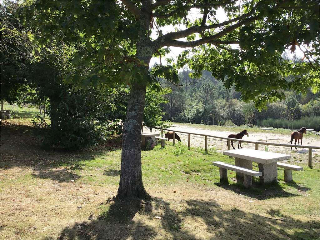 Parque Forestal A Fracha en Pontevedra