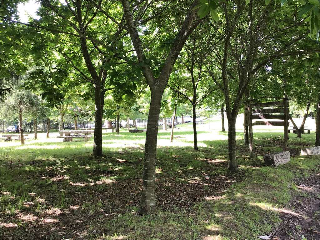 Parque Forestal Bandeira en Vigo