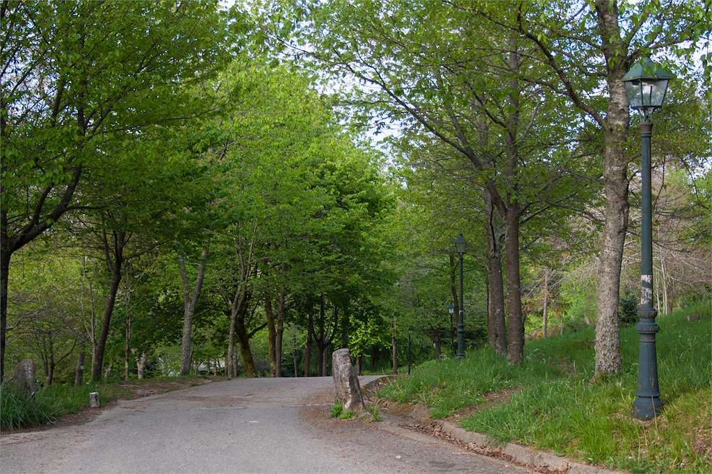 Parque Forestal de Beade en Vigo