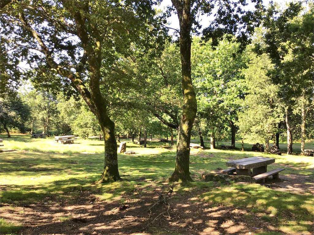 Parque Forestal de Bembrive en Vigo