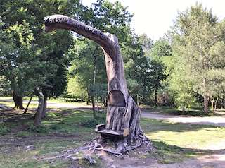 Fechas, información, programa, cartel, imágenes, mapa y ubicación de Parque Lagocheiras  en  Marín