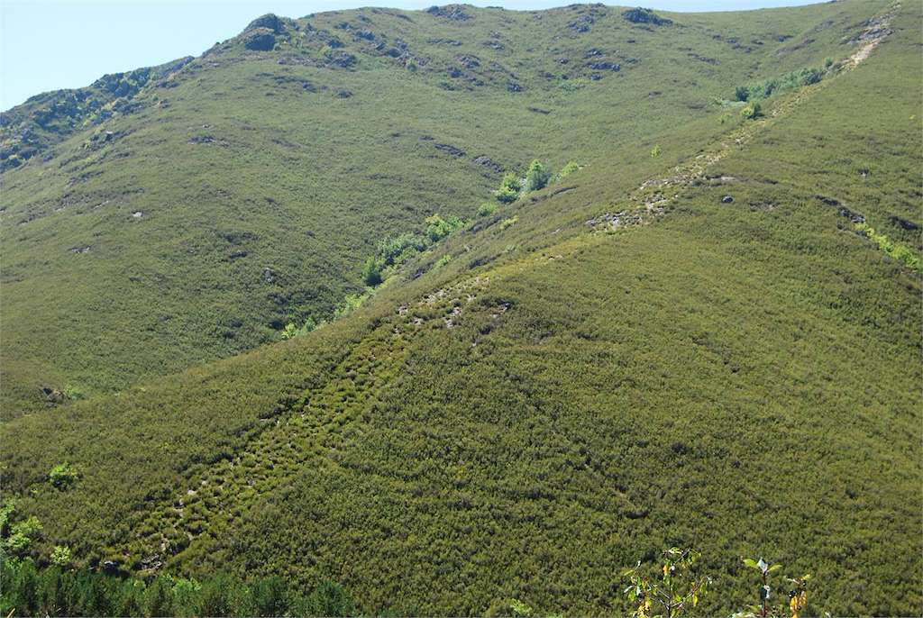 Parque Natural del Invernadoiro en Castrelo do Val
