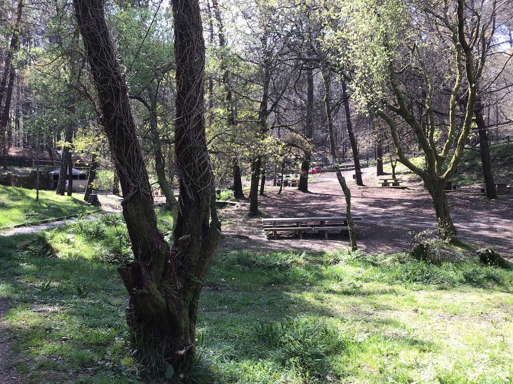 Parque O Rego De Pontecela en Vigo
