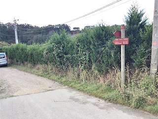 Fechas, información, programa, cartel, imágenes, mapa y ubicación de Paseo de Malates  en  Foz