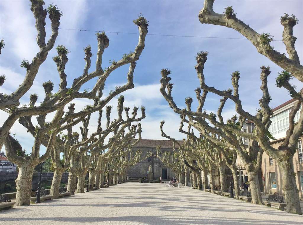 Paseo de O Espolón en Padrón