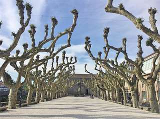 Fechas, información, programa, cartel, imágenes, mapa y ubicación de Paseo de O Espolón (2023)  en  Padrón