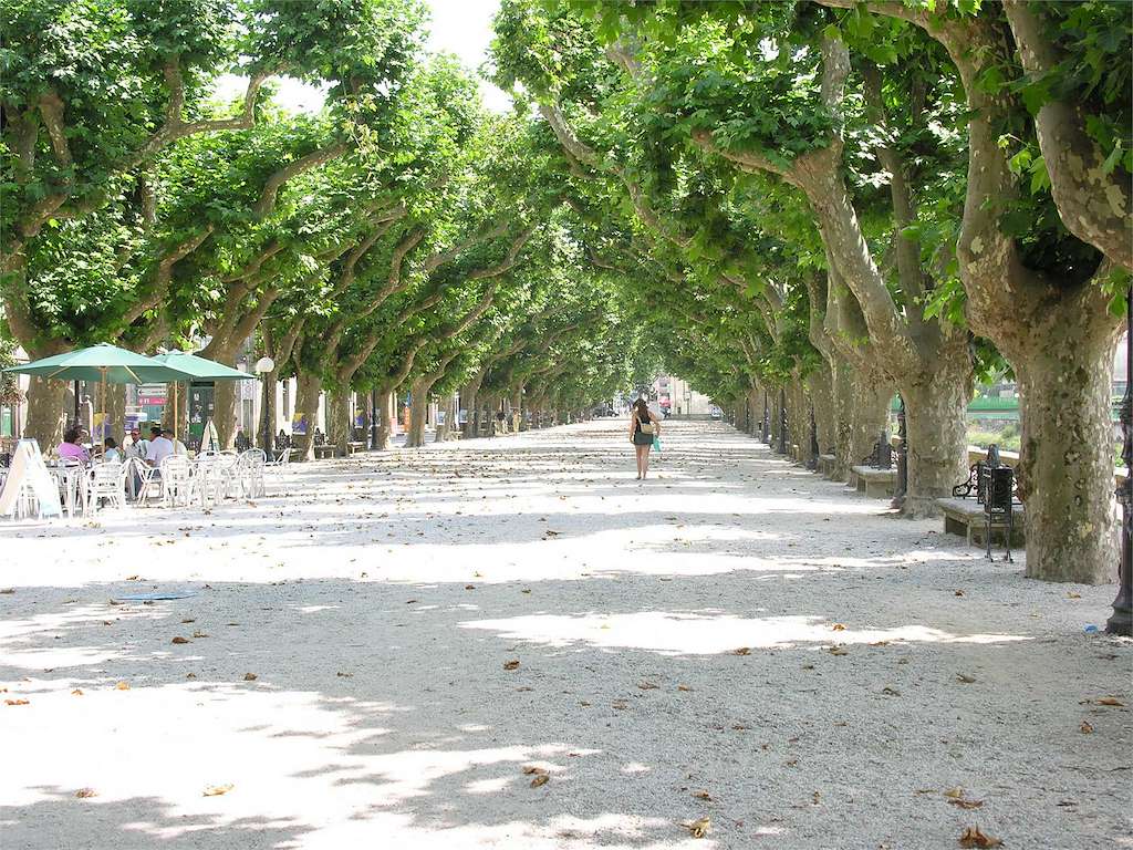 Paseo de O Espolón en Padrón
