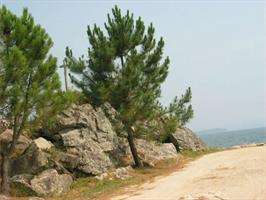 Paseo de Tanxil  en Rianxo