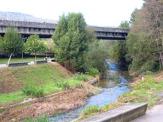 Paseo del Louro