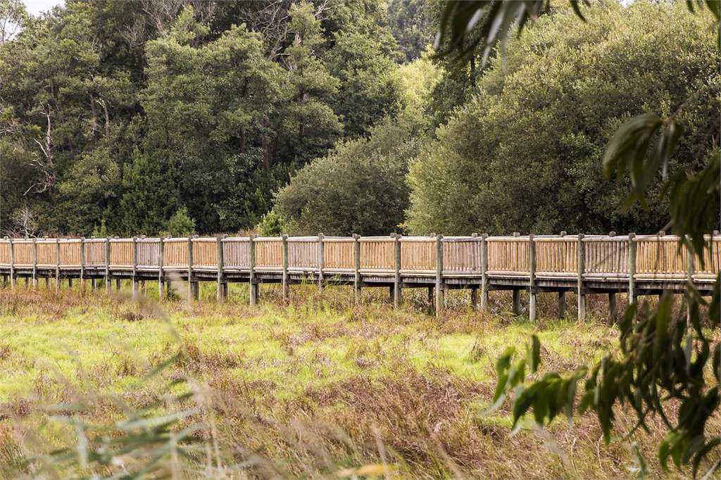 Paseo Fluvial de As Torres en Catoira