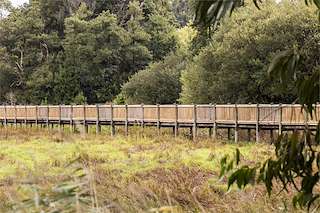 Fechas, información, programa, cartel, imágenes, mapa y ubicación de Paseo Fluvial de As Torres (2022)  en  Catoira