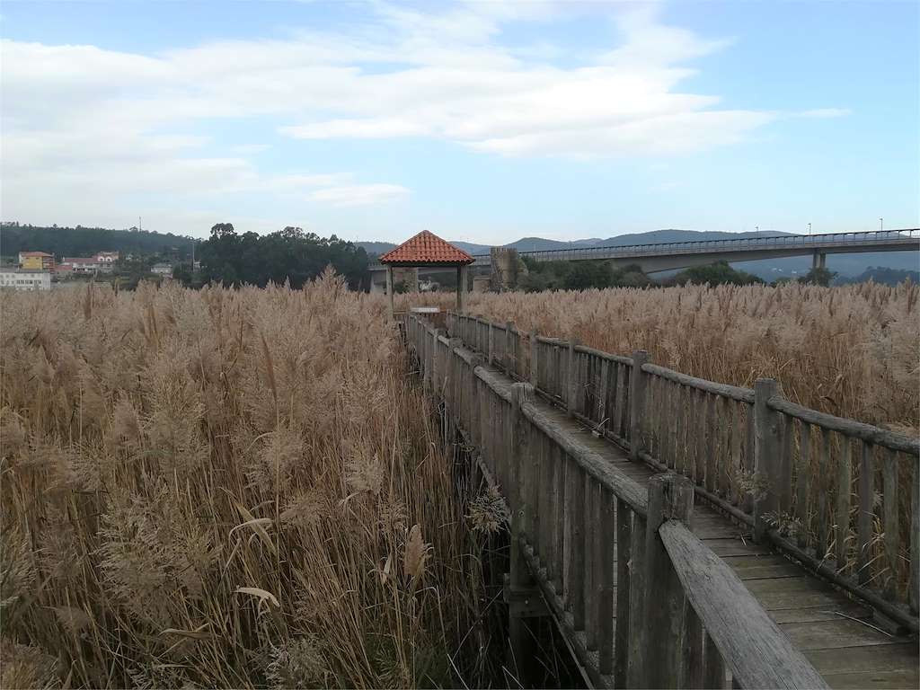 Paseo Fluvial de As Torres en Catoira