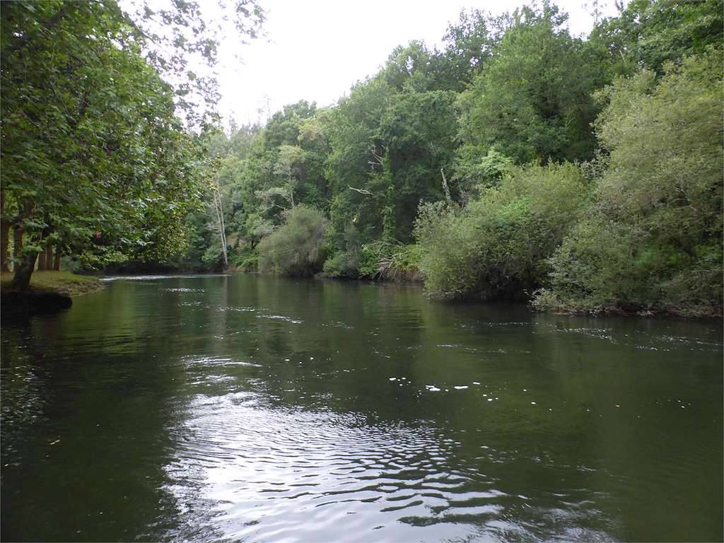 Paseo Fluvial de los Caneiros en Betanzos