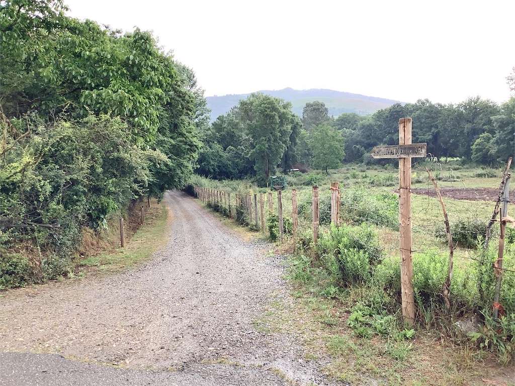 Paseo Fluvial de Quiroga