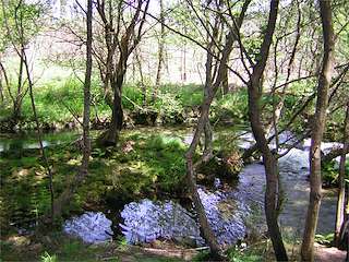 Paseo Fluvial del Río Té