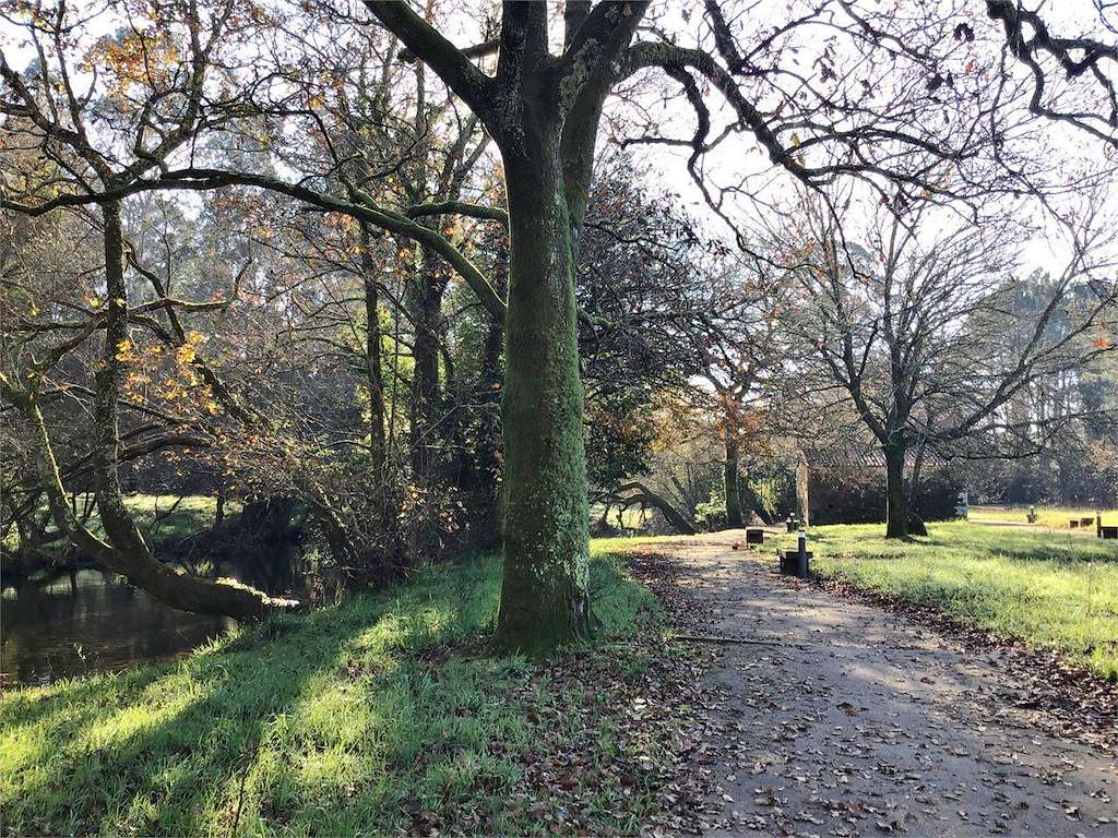 Paseo Fluvial del Río Tins en Outes