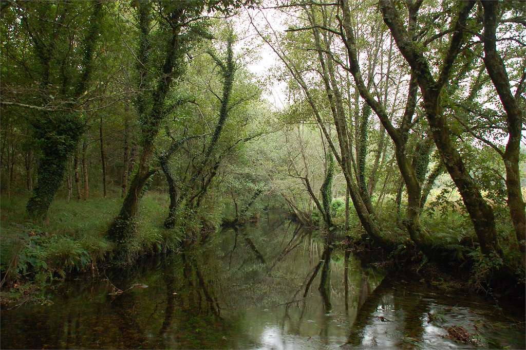 Paseo Fluvial do Río Barcala en Negreira