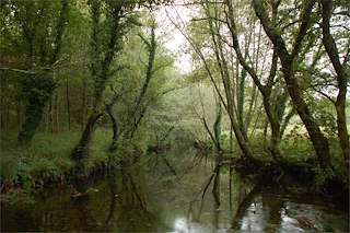 Paseo Fluvial do Río Barcala
