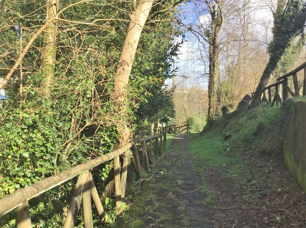 Paseo Fluvial do Río Pego en Brión