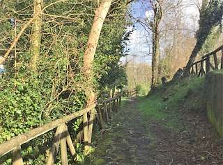 Paseo Fluvial do Río Pego