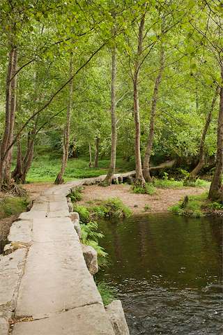 Paseo Fluvial do Umia