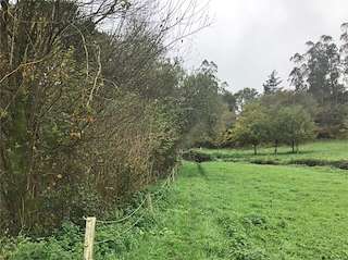 Fechas, información, programa, cartel, imágenes, mapa y ubicación de Paseo Fluvial Rego da Illa  en  Santa Comba