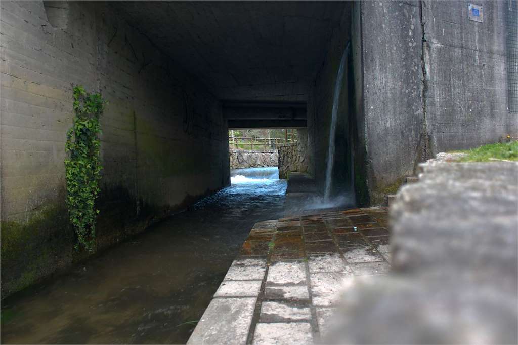 Paseo Fluvial Rego dos Pasos en Ames