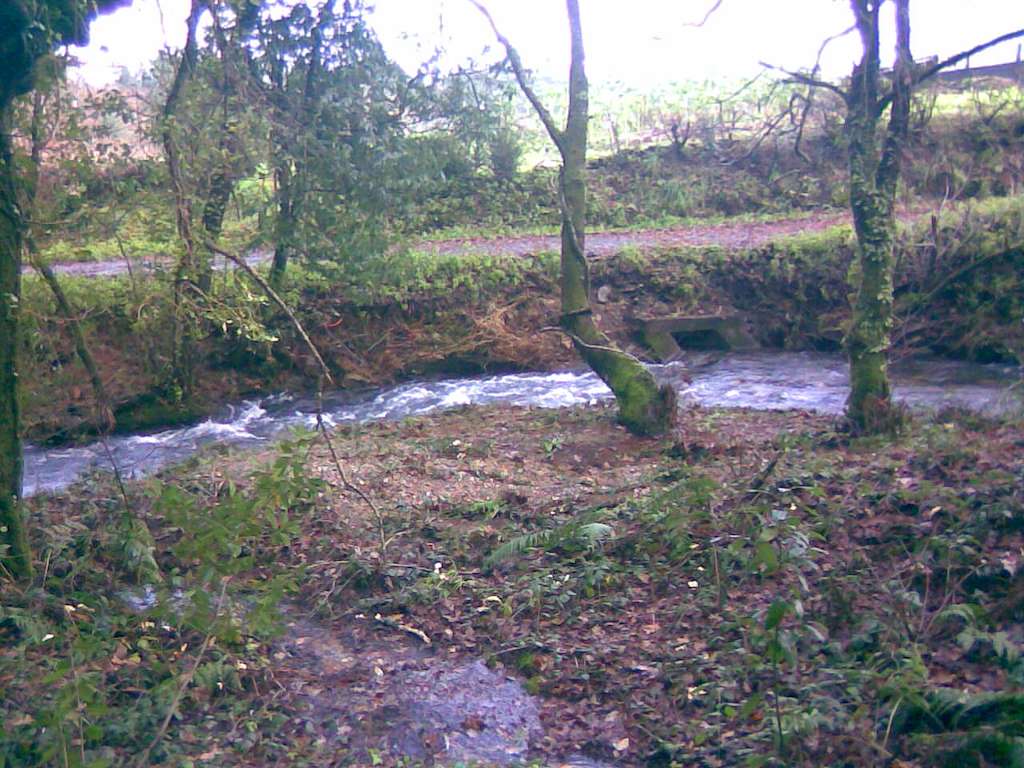 Paseo Fluvial Río Sarela en Santiago de Compostela