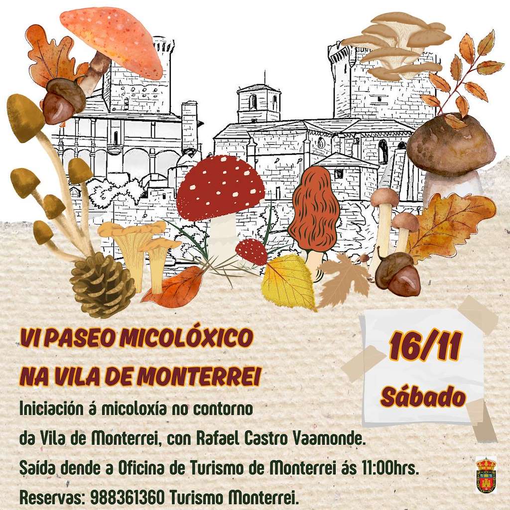VI Paseo Micolóxico en Monterrei