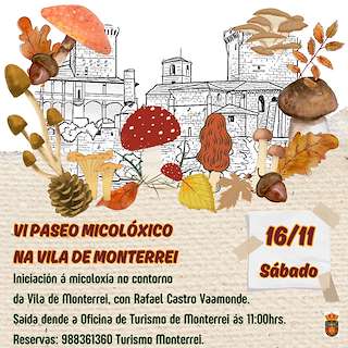 VI Paseo Micolóxico