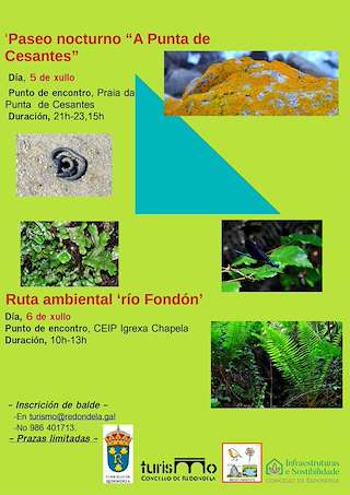 Fechas, información, programa, cartel, imágenes, mapa y ubicación de Paseo Nocturno A Punta de Cesantes y Ruta Ambiental Río Fondo  en  Redondela