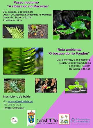Fechas, información, programa, cartel, imágenes, mapa y ubicación de Paseo Nocturno A Ribeira do Río Maceiras e Río Fondón (2026)  en  Redondela