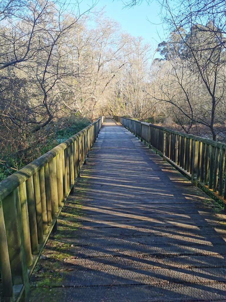 Paseo Peonil As Telleiras en Catoira