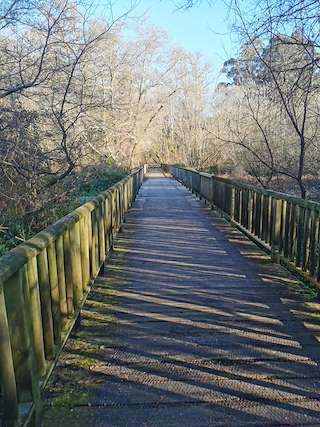 Paseo Peonil As Telleiras