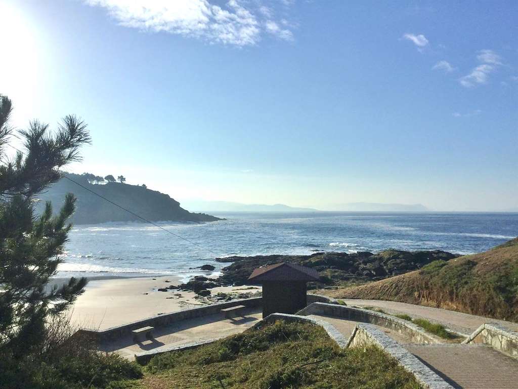 Paxariñas en Sanxenxo